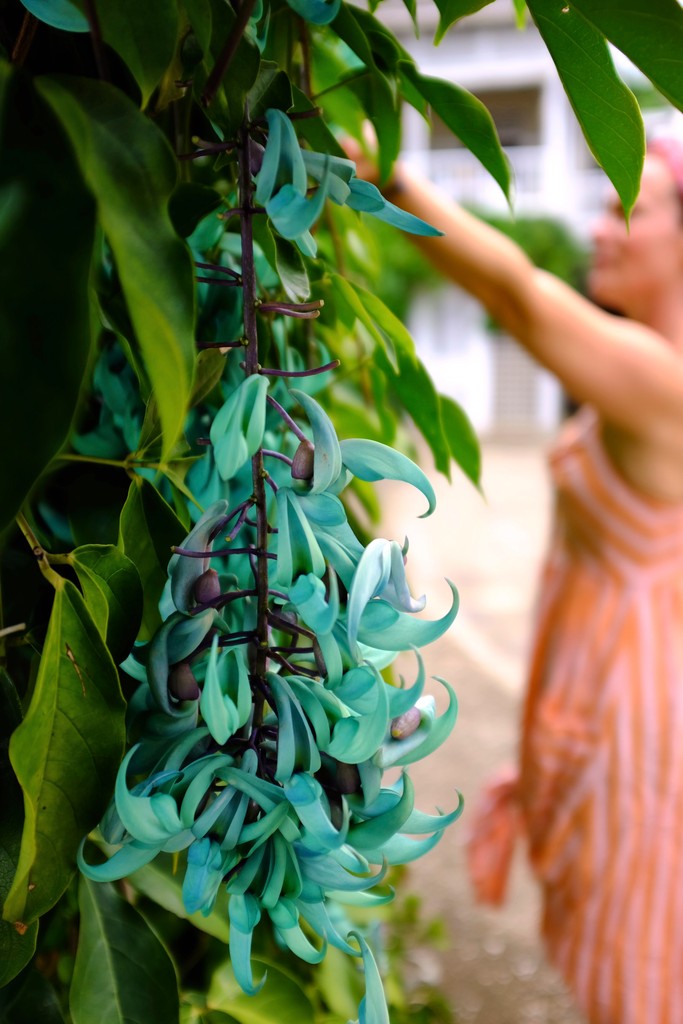 Explore our Exclusive Offers, available now to December 19th, 2025. We have something for everyone, residents of Jamaica, Cayman &amp; the Caribbean will also find a wonderful Offer!

Book your escape today:

strawberryhillhotel.com/special-offers/

#StrawberryHill #BlueMountains #ExclusiveOffers