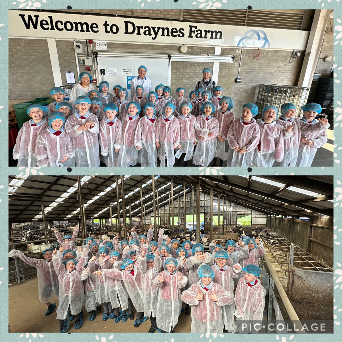 pondparkp4's tweet photo. P4C had an amazing day at Draynes Farm today! They even got to taste some incredible Draynes ice cream! 🍦 https://t.co/MihuewwDmt