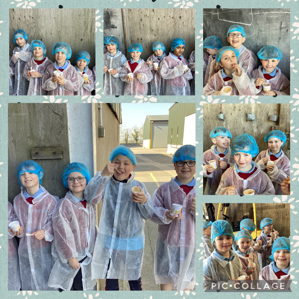 pondparkp4's tweet photo. P4C had an amazing day at Draynes Farm today! They even got to taste some incredible Draynes ice cream! 🍦 https://t.co/MihuewwDmt