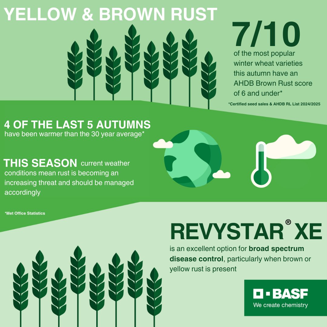 🔎Yellow and Brown Rust have been spotted across susceptible wheat varieties this week.

Revystar XE at T1 provides a strong foundation for your fungicide programme, with broad spectrum disease control and even better value for 2025.

Find out more: bit.ly/3Qo9C7s