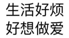 仓鼠飞轮🐹 tweet media