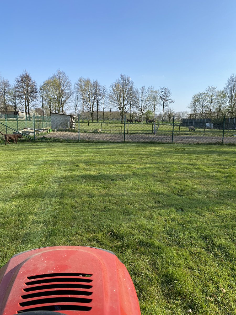 Ward Markey tweet media