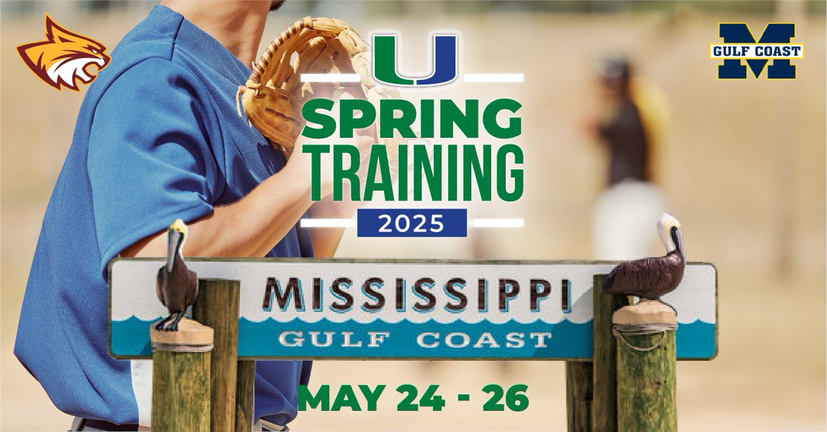 United Baseball Organization tweet media