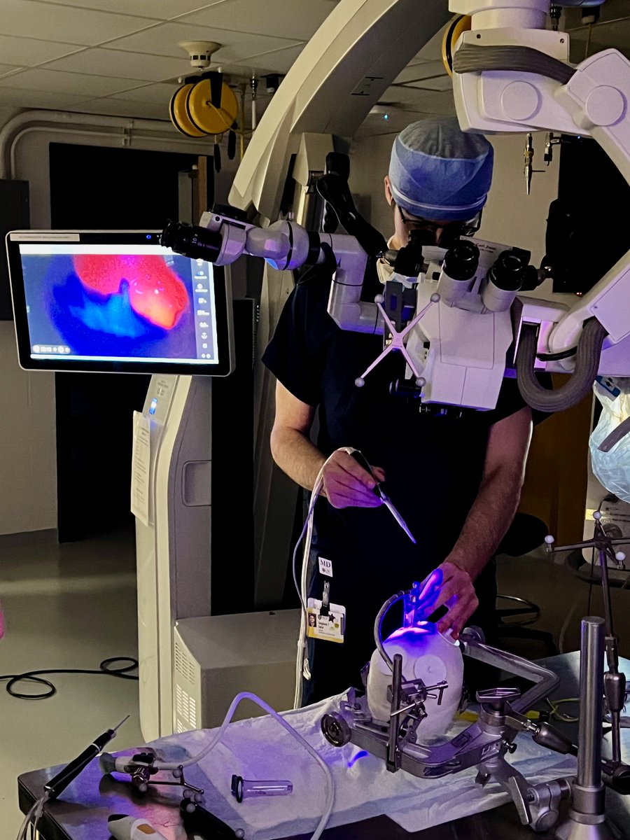 UR Neurosurgery (@urneurosurgery) on Twitter photo Successful multi-disciplinary #glioma workshop by Drs. Tyler Schmidt, <a href="/FrankGarcea/">Frank Garcea</a>, Lauryn Hemminger, and Ali Hussain! 🧠
#Neurosurgery #Glioblastoma #Neurology #Radiology #Neurotwitter #MedEd #MedX #MedTwitter Successful multi-disciplinary #glioma workshop by Drs. Tyler Schmidt, <a href="/FrankGarcea/">Frank Garcea</a>, Lauryn Hemminger, and Ali Hussain! 🧠
#Neurosurgery #Glioblastoma #Neurology #Radiology #Neurotwitter #MedEd #MedX #MedTwitter