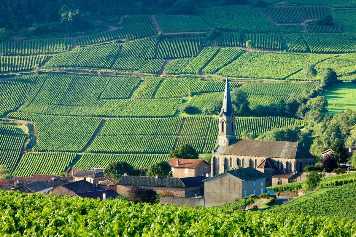 Burgundy! Chassagne-Montrachet, Gevrey-Chambertin, and more. How many of you have heard the names but haven't had a chance to taste them? Now you can. Join Rod Story to taste and compare Registration: ow.ly/nlBg50VthKQ