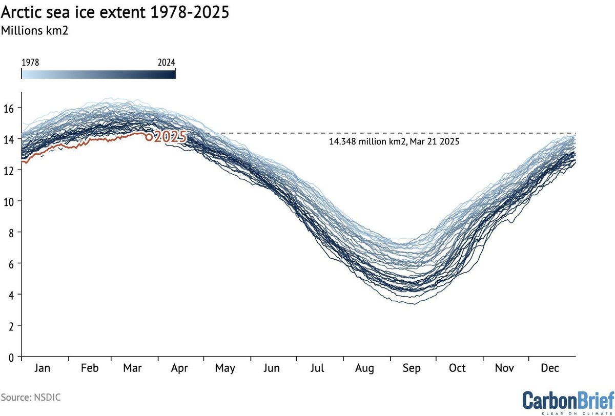Carbon Brief tweet media