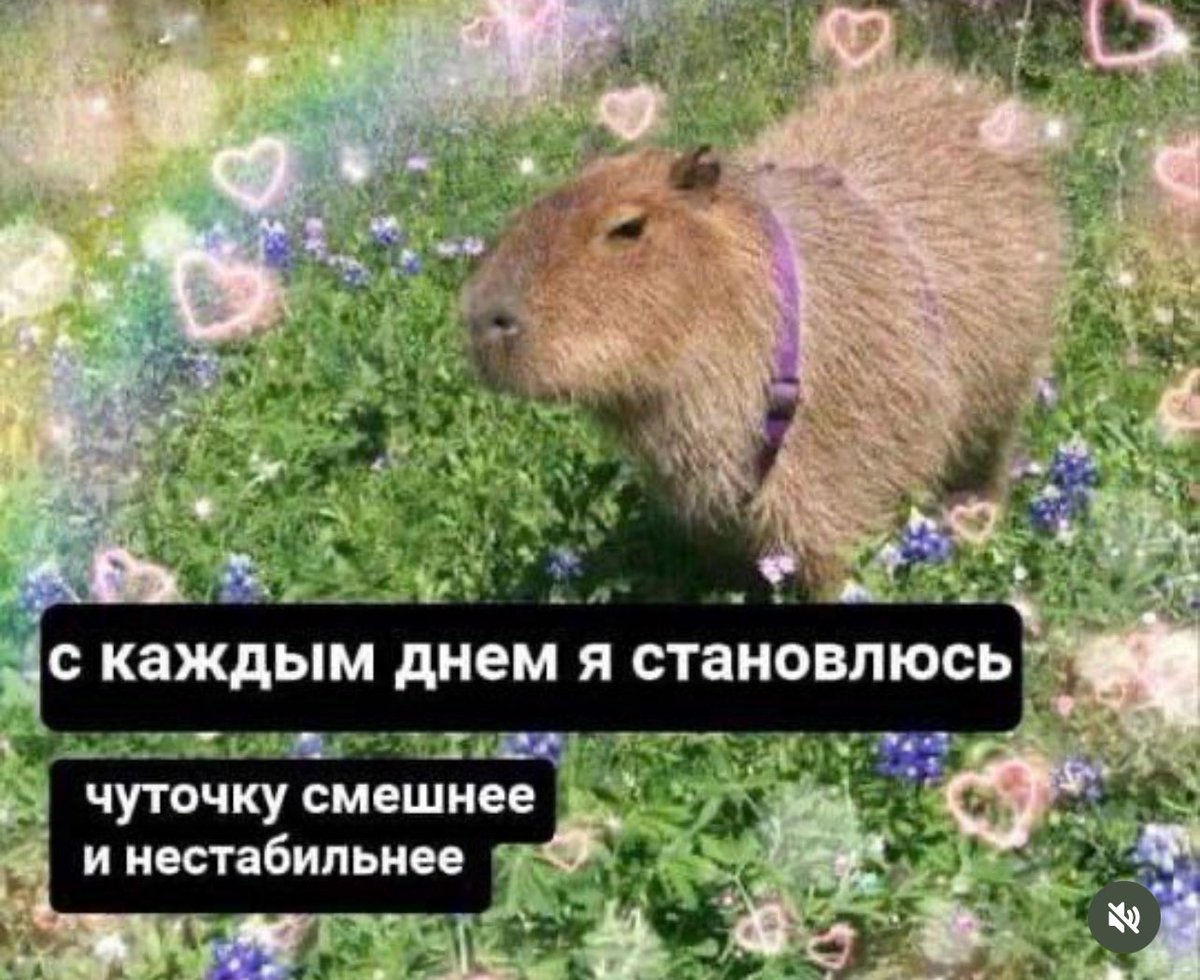 Карьерный рост твиттерских