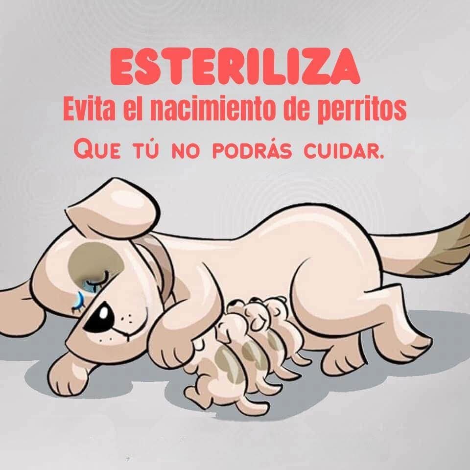 Sabueson's tweet photo. Ayuda a ayudarlos https://t.co/p1zHKcMVZD