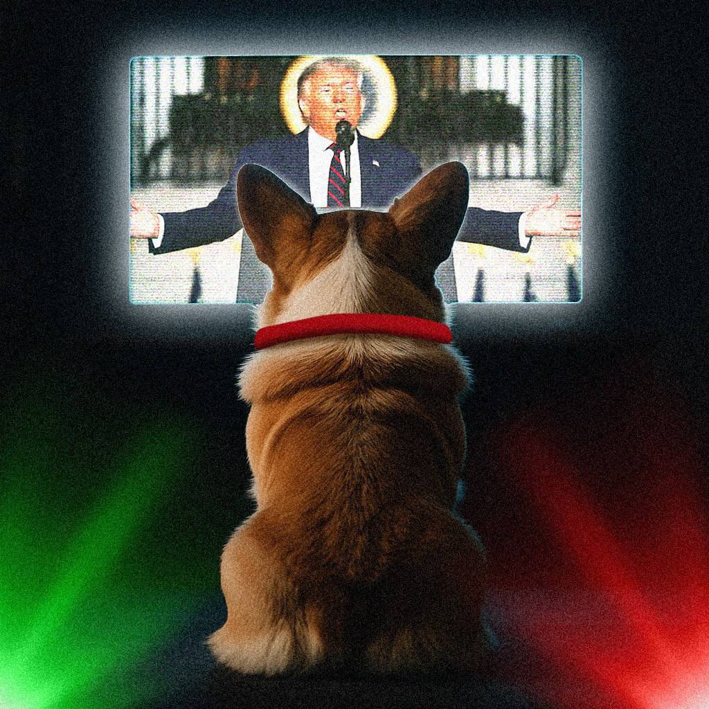 SUNDOG_TRX's tweet image. Liberation day is coming…