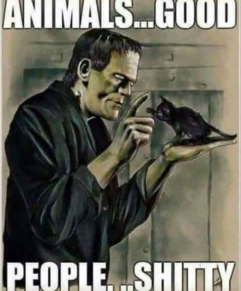 Vampiresangellv tweet media