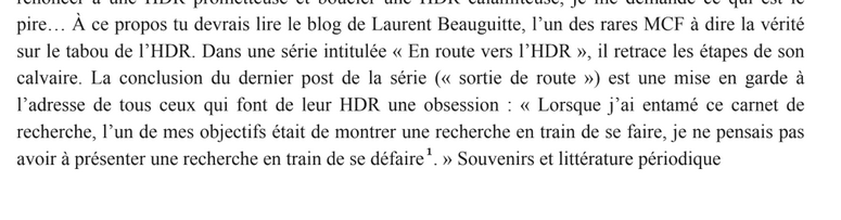 Extrait de Vincent Laisney, 2025, Les tribulations d'un chercheur en littérature, éditions du CNRS. 
Ça m'a touché. 
L'HDR devrait quand même être bouclée cette année...
