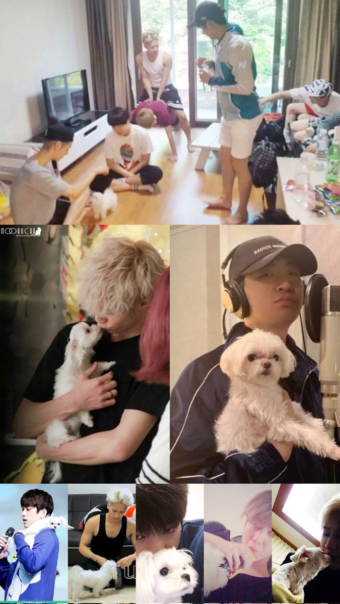 Everythingis_3's tweet photo. #CocoGot7 https://t.co/aEPzZOPLub