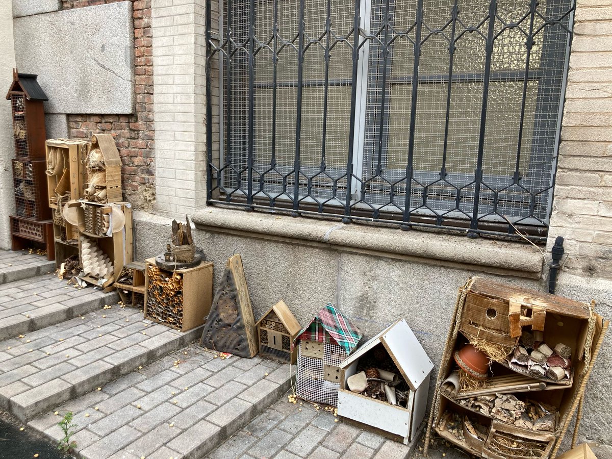 NOEL DU FAIL tweet media