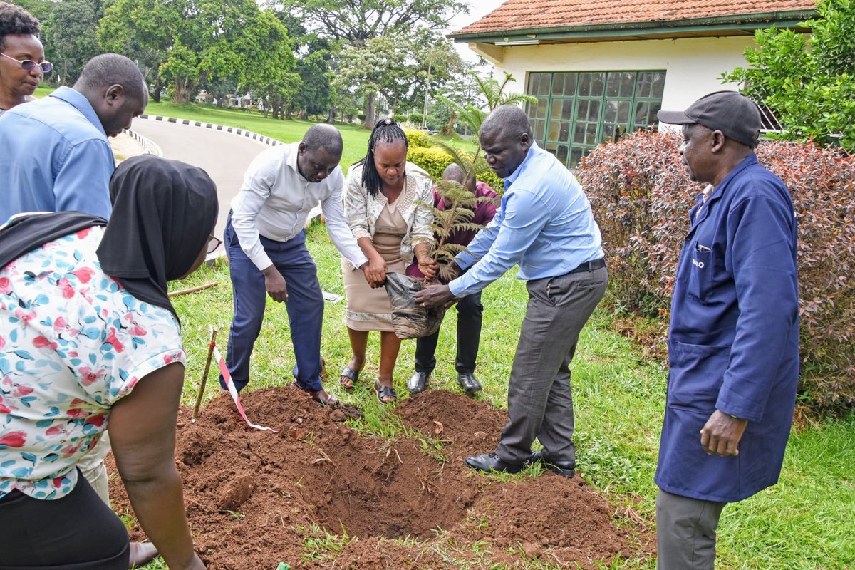 Dr. Titus Alicai, the Director of NaCRRI, officially insitutes an Ornamental Plant Beautification and #Environmental Conservation Initiative, aimed at enhancing #green spaces within <a href="/NARO_NaCRRI/">NARO-NaCRRI-Namulonge</a>. This, to promote environmental #conservation &amp; increase green cover in NaCRRI.