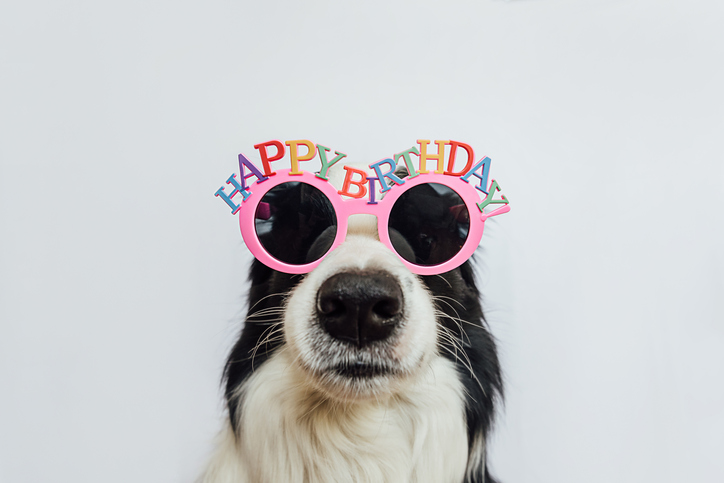 charhooks1's tweet image. Happy birthday to everyone with an April birthday! 🎉🌷 We hope you have a wonderful day and an even better year ahead. 🌟