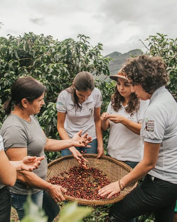 Temple Coffee tweet media