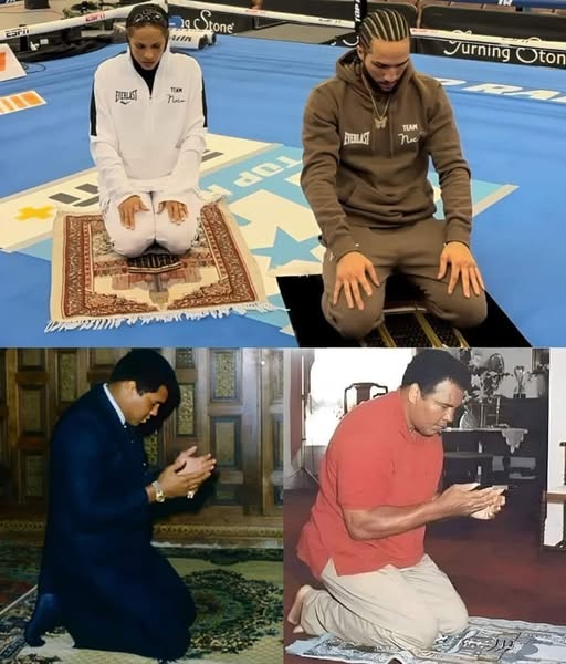 Boxing Daily tweet media