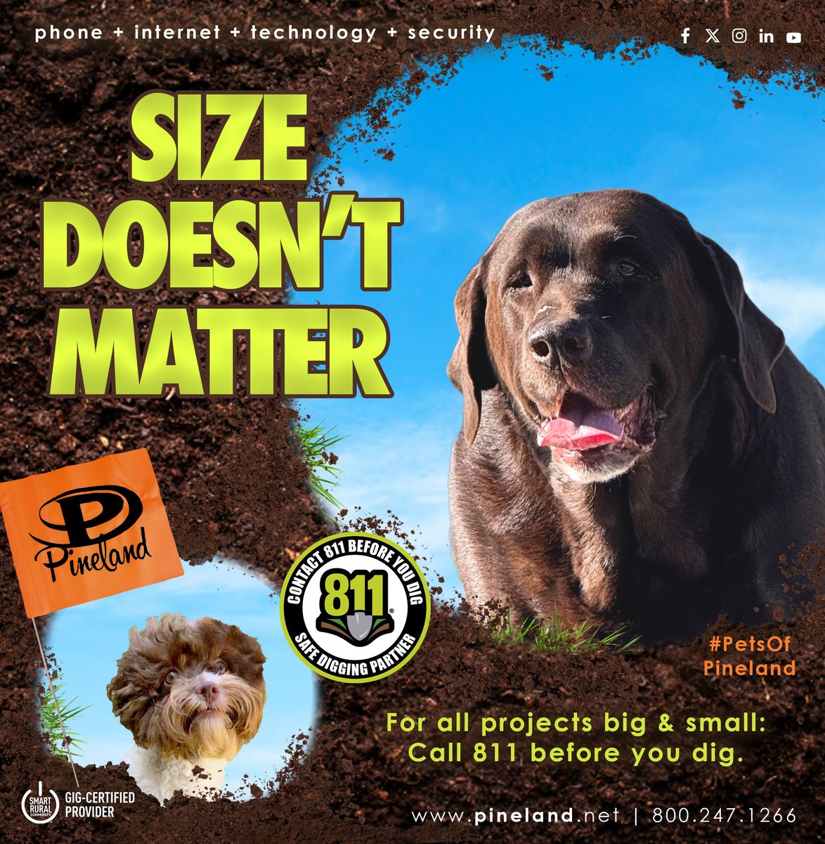 Pineland Telephone tweet media