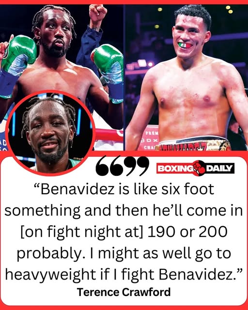 Boxing Daily tweet media