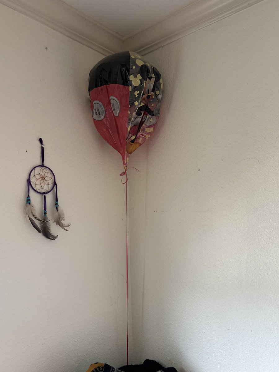 xxbeauteevilxx's tweet photo. @partycityhq don’t leave us!! @BenavidesVal got this balloon in Jan and it’s still holding on!! No other party balloons last this long!! #DontGo #StayOpen #PartyCity https://t.co/V2sqfhV7oa