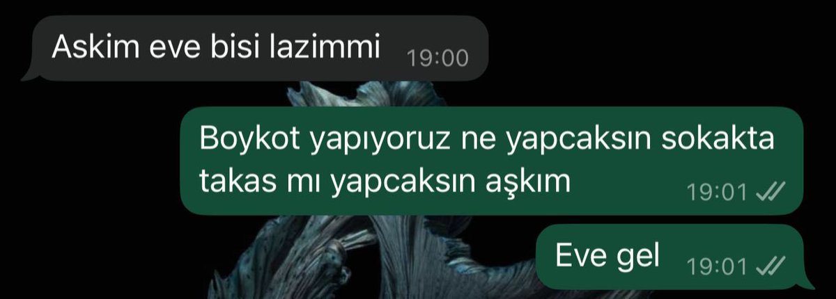 iambbuse's tweet photo. 1 yeni mesaj: https://t.co/Oq7tSODFVj