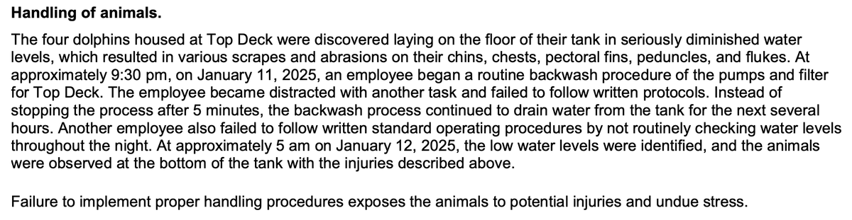 Brian Entin tweet media