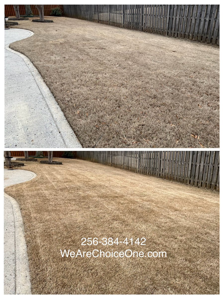 WeAreChoiceOne's tweet photo. Needing lawn scalping in Madison or Huntsville?

Get your free estimate today at https://t.co/pIta4IkZuC | 256-384-4142

#LawnCare #LawnScalping #Lawn #Mowing #Huntsville #Madison #Alabama #HSV #ChoiceOneLawnCare #WeAreChoiceOne https://t.co/teADVVKyC5