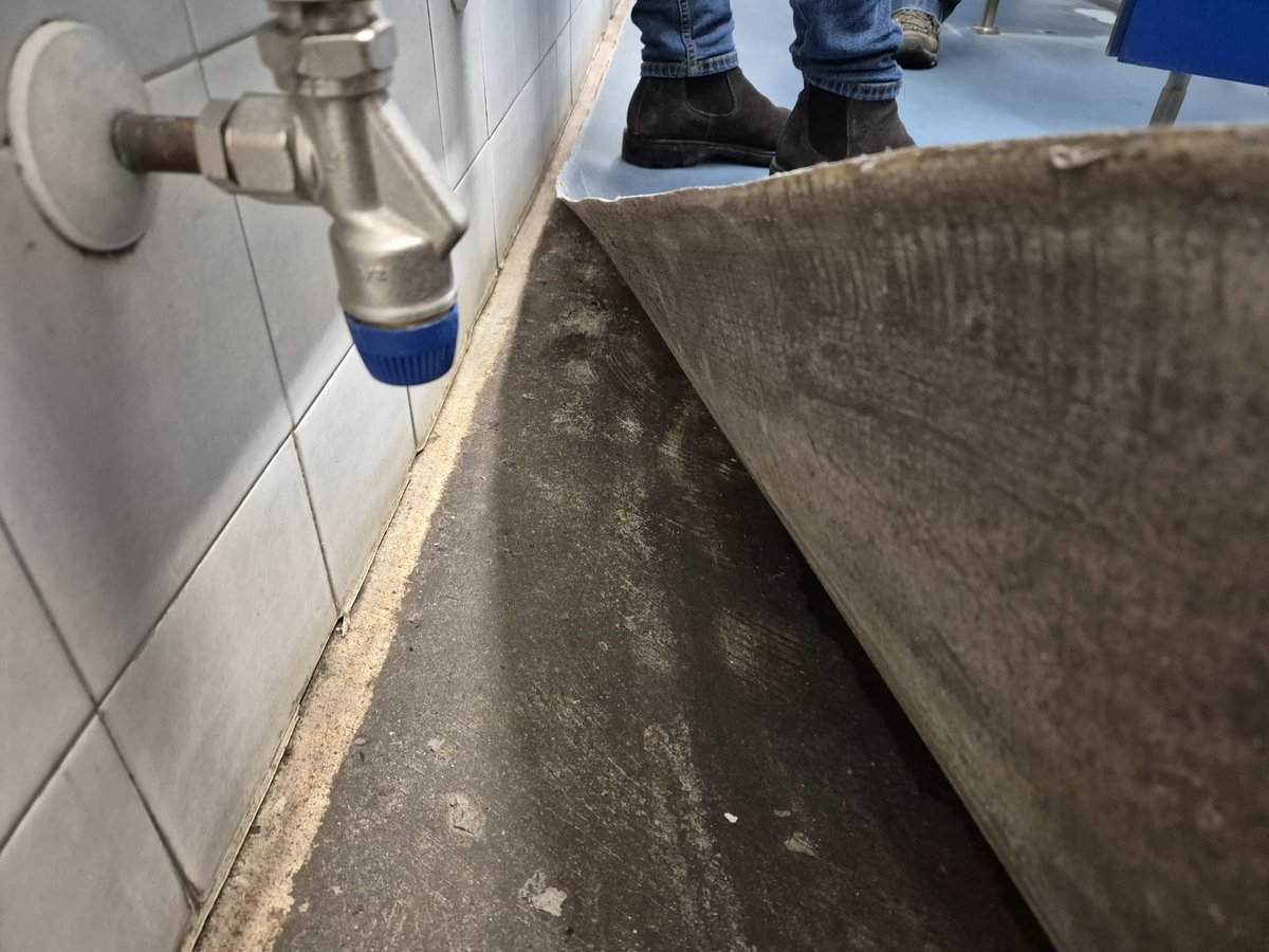 Ahora realizamos con #resinas #antideslizantes y una pequeña media caña la reforma del pavimento de las duchas de los vestuarios de una empresa industrial de Amorebieta. Actualmente el pavimento está despegado, filtra agua y no tiene buen aspecto.

#pavimentos #pintado