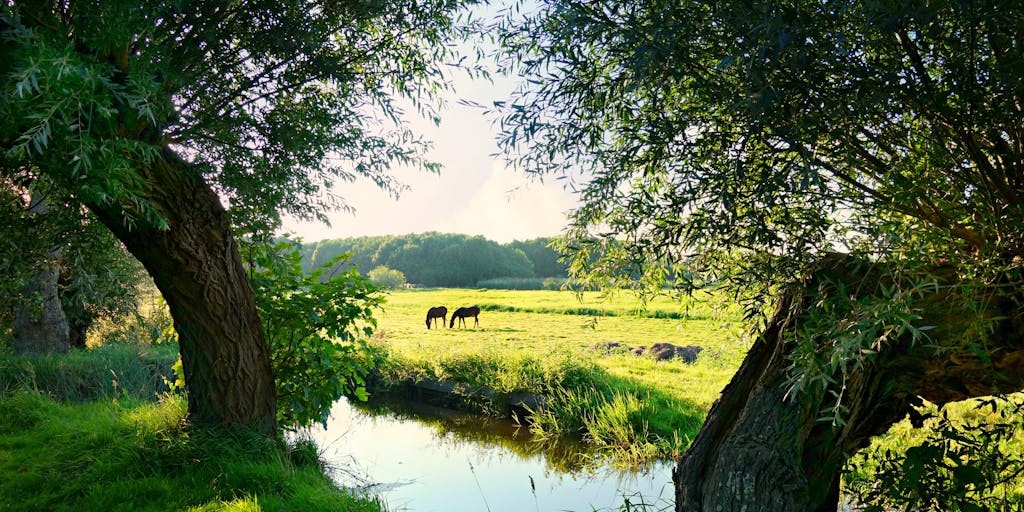 JohnHowardSocietyAB tweet media