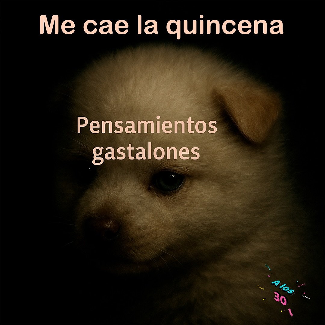 nacional_memes's tweet photo. 🐱 https://t.co/JIx6gX4Zee