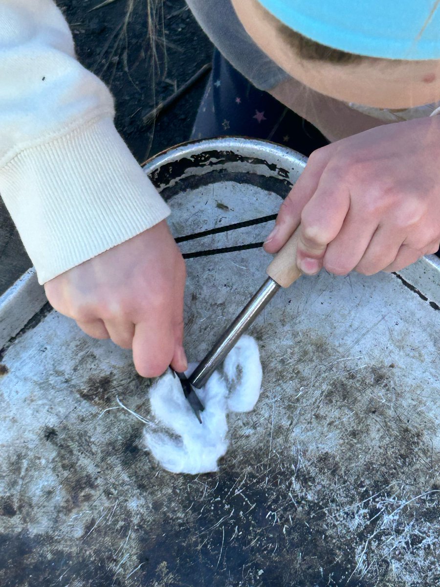 Tetherdown tweet media