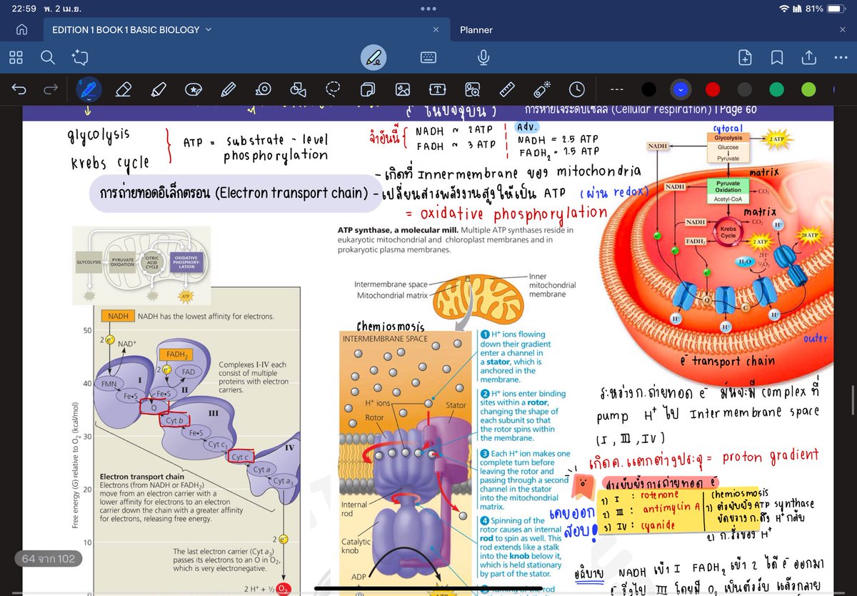 2/4/68

คือเวิคฮ้าดอีทฮ้าด ไม่มีไรมากวันนี้เรียนชีวะเน้นๆพี่ต้นสอนดีมากเหมือนเดิม รู้สึกสนุกมากกเพราะไอเลิฟไบโอ แต่ก็แอบปวดหลังสุดๆ 
พี่น้องDek69 อย่าลืมดูแลสุขภาพหลังของทุกท่านด้วยเน้ออ ิิ

#วันนี้dek69ทําอะไร #dek69