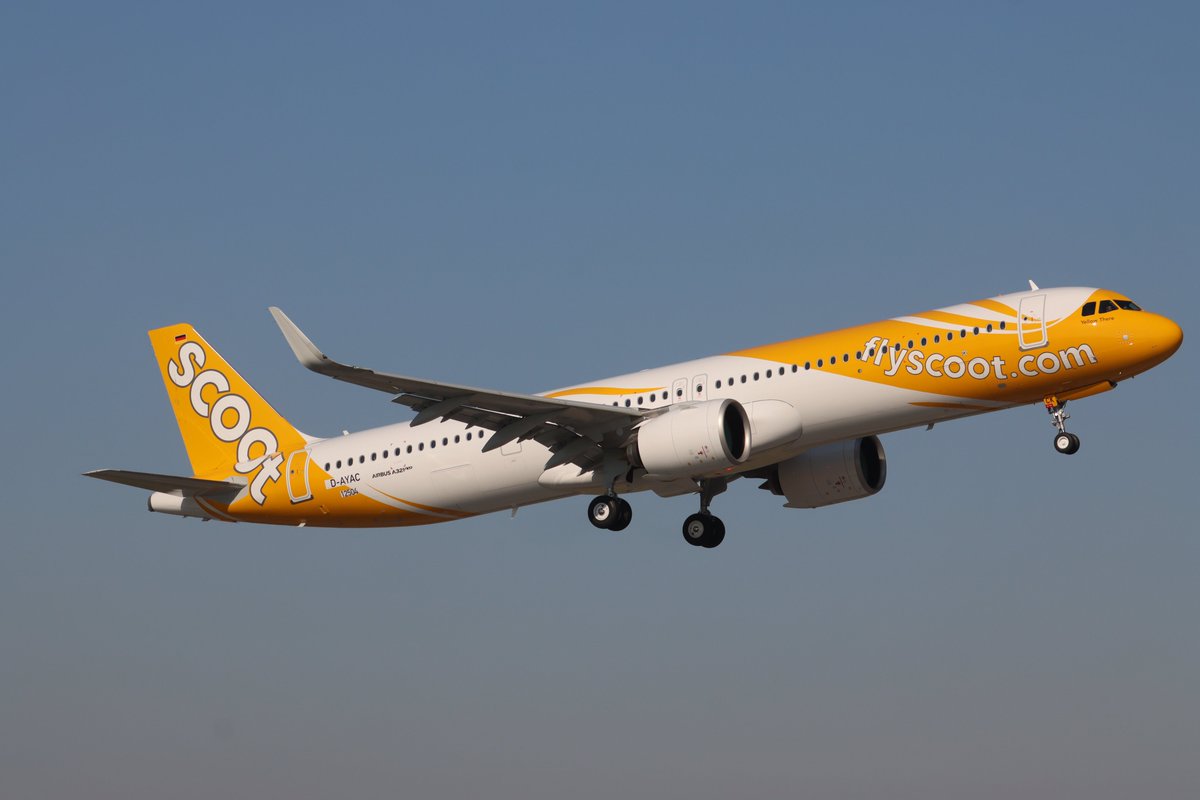 scoot - Search / X