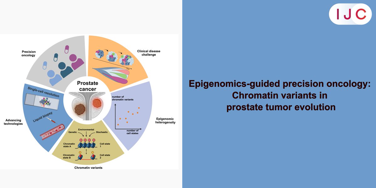 International Journal of Cancer (@intjcanc) on Twitter photo NOW ONLINE!
This review by <a href="/KiraKornienko1/">Kira Furlano</a> et al. explores how chromatin variants shape tumor evolution and reveal novel treatment targets in #ProstateCancer. Also presented as a talk at the IJC Symposium on 14-Jan by <a href="/MatLupien/">Mathieu Lupien</a>
🔓OPEN ACCESS
➡️ doi.org/10.1002/ijc.35…
<a href="/uicc/">Union for International #CancerControl</a> NOW ONLINE!
This review by <a href="/KiraKornienko1/">Kira Furlano</a> et al. explores how chromatin variants shape tumor evolution and reveal novel treatment targets in #ProstateCancer. Also presented as a talk at the IJC Symposium on 14-Jan by <a href="/MatLupien/">Mathieu Lupien</a>
🔓OPEN ACCESS
➡️ doi.org/10.1002/ijc.35…
<a href="/uicc/">Union for International #CancerControl</a>