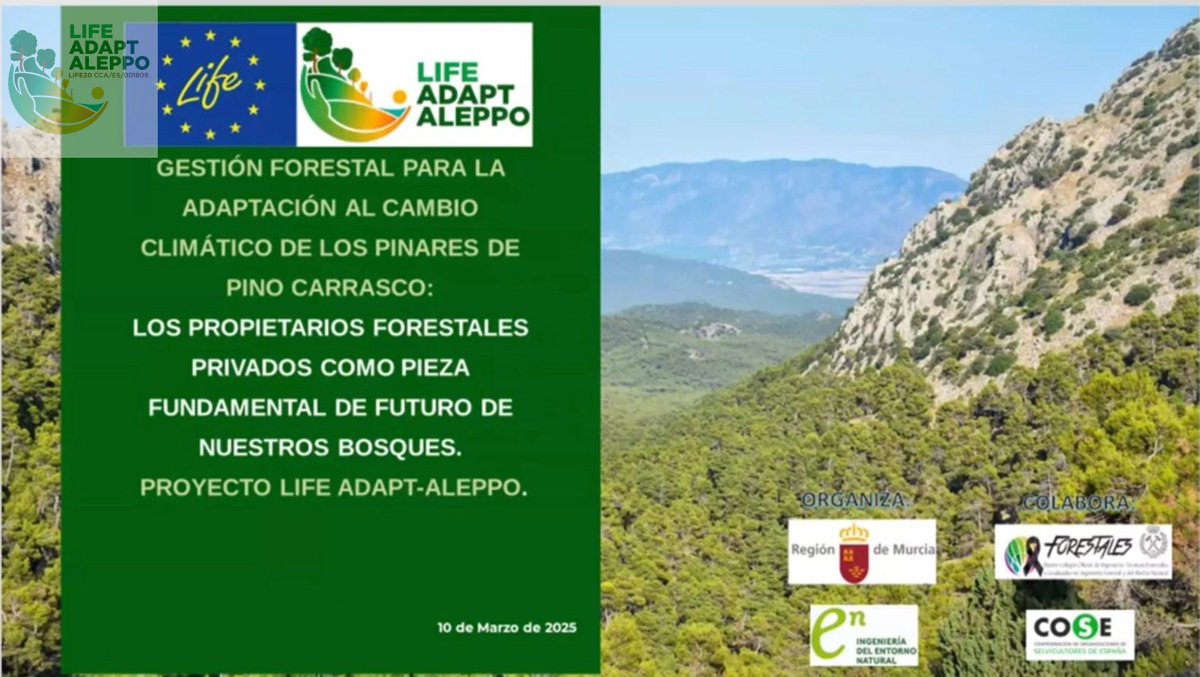 LIFE ADAPT-ALEPPO (@adaptaleppo) on Twitter photo 🌲 Disponible el vídeo del webinar “Gestión forestal para la adaptación al cambio climático de los pinares de pino carrasco y los propietarios forestales privados” de #Adaptaleppo organizado por <a href="/IEntornoNatural/">I.Entorno Natural</a> y <a href="/AmbientalRM/">Consejería M. Ambiente, Univ., Invest. y Mar Menor</a> 🌄
👉🏻 youtube.com/watch?v=ejs0L4… 🌲 Disponible el vídeo del webinar “Gestión forestal para la adaptación al cambio climático de los pinares de pino carrasco y los propietarios forestales privados” de #Adaptaleppo organizado por <a href="/IEntornoNatural/">I.Entorno Natural</a> y <a href="/AmbientalRM/">Consejería M. Ambiente, Univ., Invest. y Mar Menor</a> 🌄
👉🏻 youtube.com/watch?v=ejs0L4…
