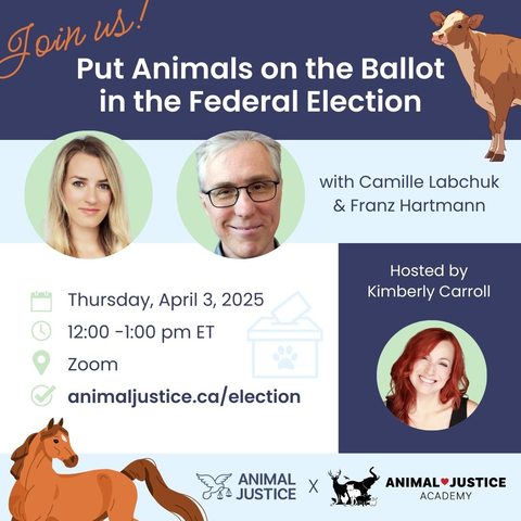 Kimberly Carroll tweet media