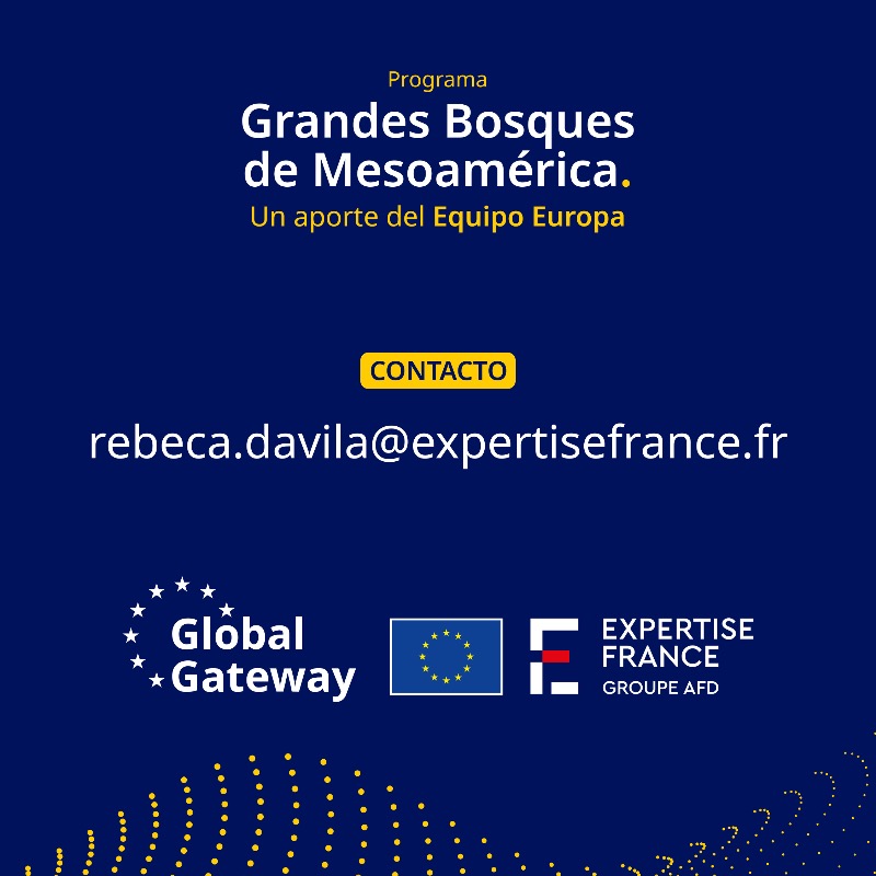 UECentroamerica's tweet photo. 📢¡Atención!📢 #Oportunidad #Proyectos

¡Llegaron las #noticias! Este 2025 nuestro Programa 🌳Grandes Bosques de Mesoamérica baja al terreno. Junto a 🇫🇷@expertisefrance lanzamos un llamado a proyectos para conservación de la biodiversidad en #Mesoamérica. Detalles en el link.👇🏾