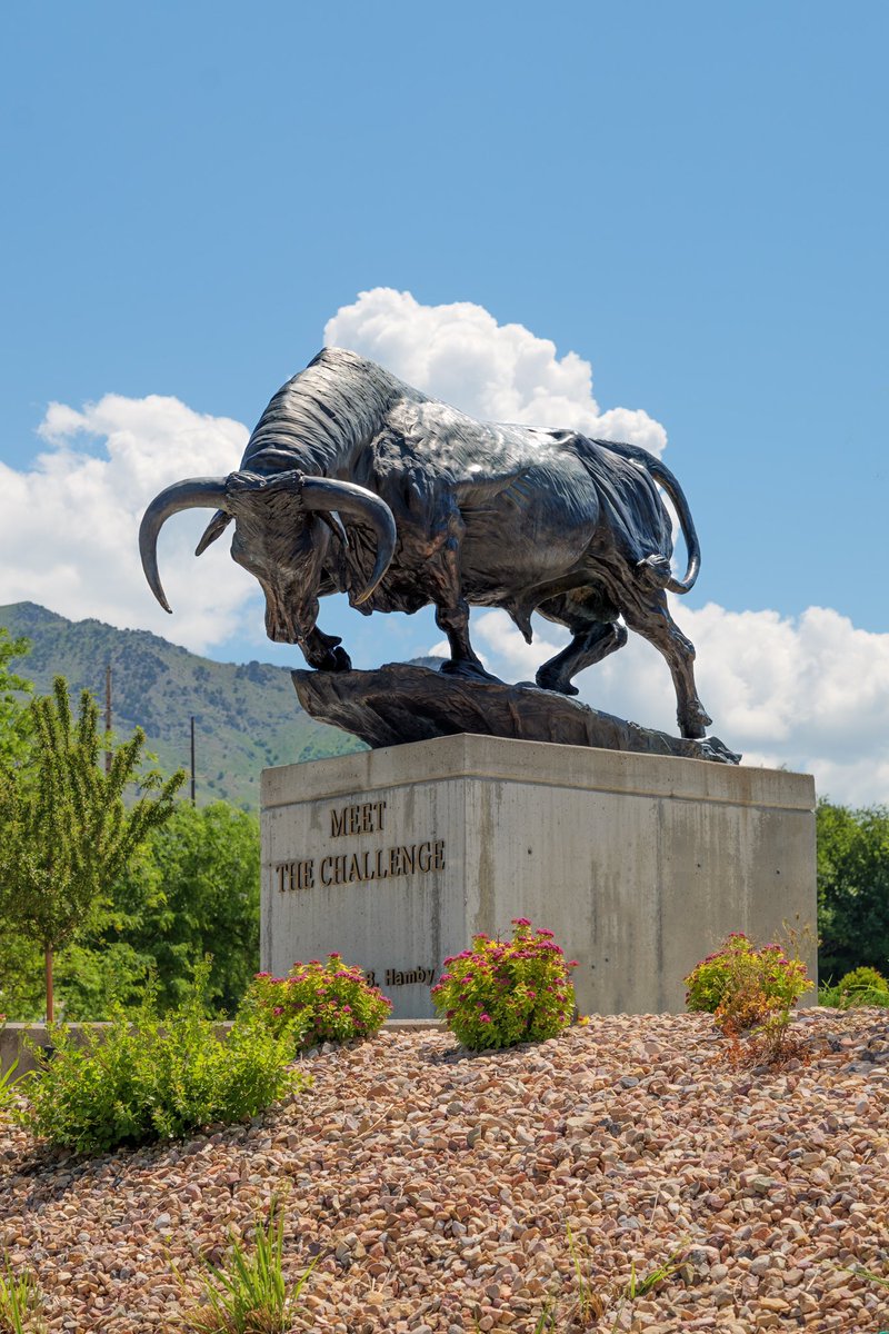 Our 4th and final leotard of 2025, 𝓲𝓷𝓽𝓻𝓸𝓭𝓾𝓬𝓲𝓷𝓰 “𝓜𝓮𝓮𝓽 𝓣𝓱𝓮 𝓒𝓱𝓪𝓵𝓵𝓮𝓷𝓰𝓮”!

Inspired by our campus statue, the bull commands the attention and is an integral part of our Aggie Tradition! 🤘🏻