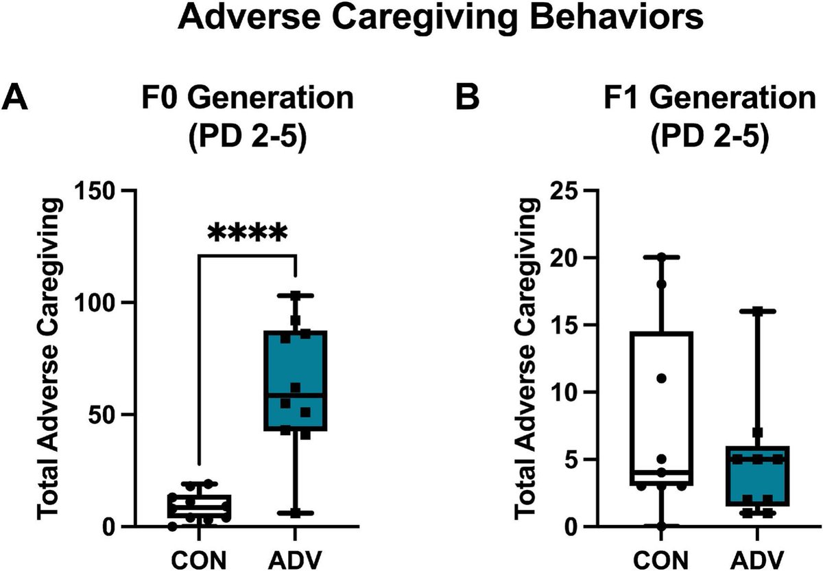 Dr. Millie Rincón-Cortés 🇵🇷 (@houseofmind) on Twitter photo Latest lab paper up <a href="/HormBehav/">Hormones and Behavior Journal</a>! We asked whether adverse caregiving patterns due to resource scarcity were transmitted from one generation➡️next. Surprisingly, we found that female rats exposed to early life adversity did NOT exhibit aberrant caregiving.
authors.elsevier.com/a/1kmEy,QxXs8GJ Latest lab paper up <a href="/HormBehav/">Hormones and Behavior Journal</a>! We asked whether adverse caregiving patterns due to resource scarcity were transmitted from one generation➡️next. Surprisingly, we found that female rats exposed to early life adversity did NOT exhibit aberrant caregiving.
authors.elsevier.com/a/1kmEy,QxXs8GJ