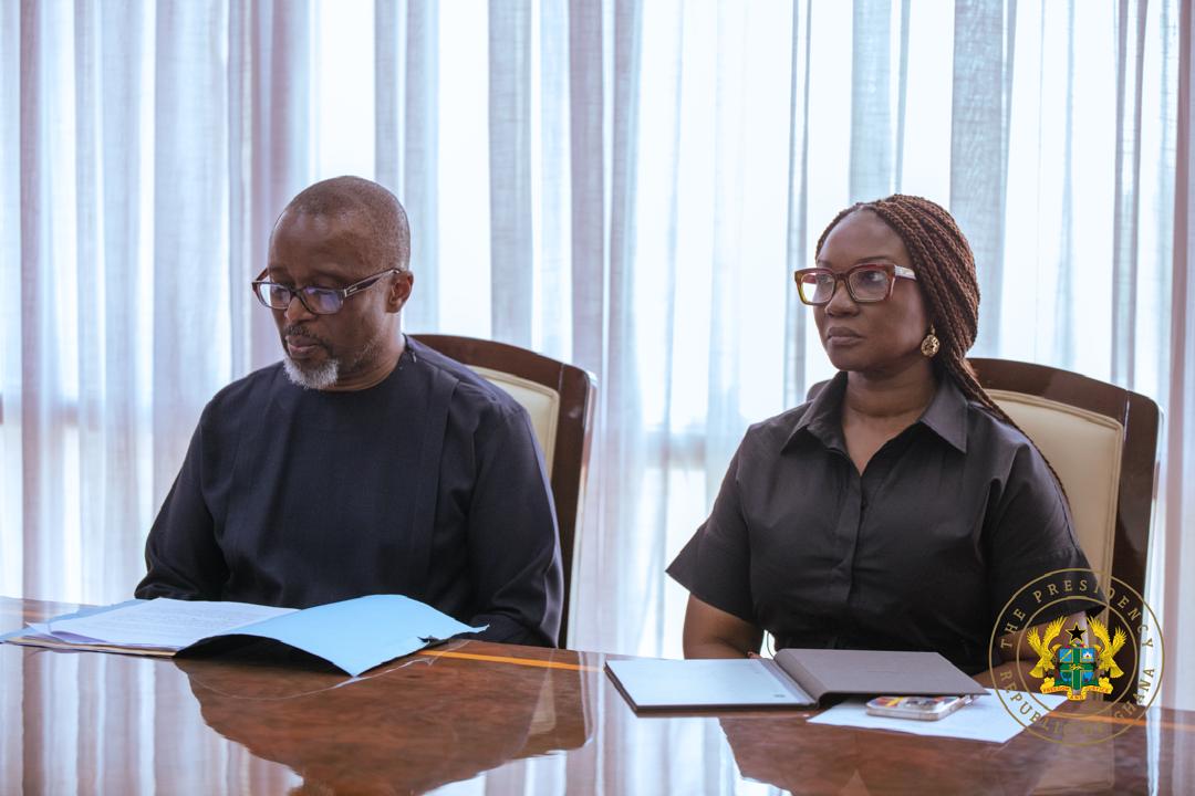The President of Ghana. H.E John D. Mahama. Received GIABA's DG and his team for the High-Level advocacy visit. The country's 3rd round of Mutual Evaluation is underway, the DG reiterated GIABA's commitment to support a successful exercise. The President pledged his commitment.