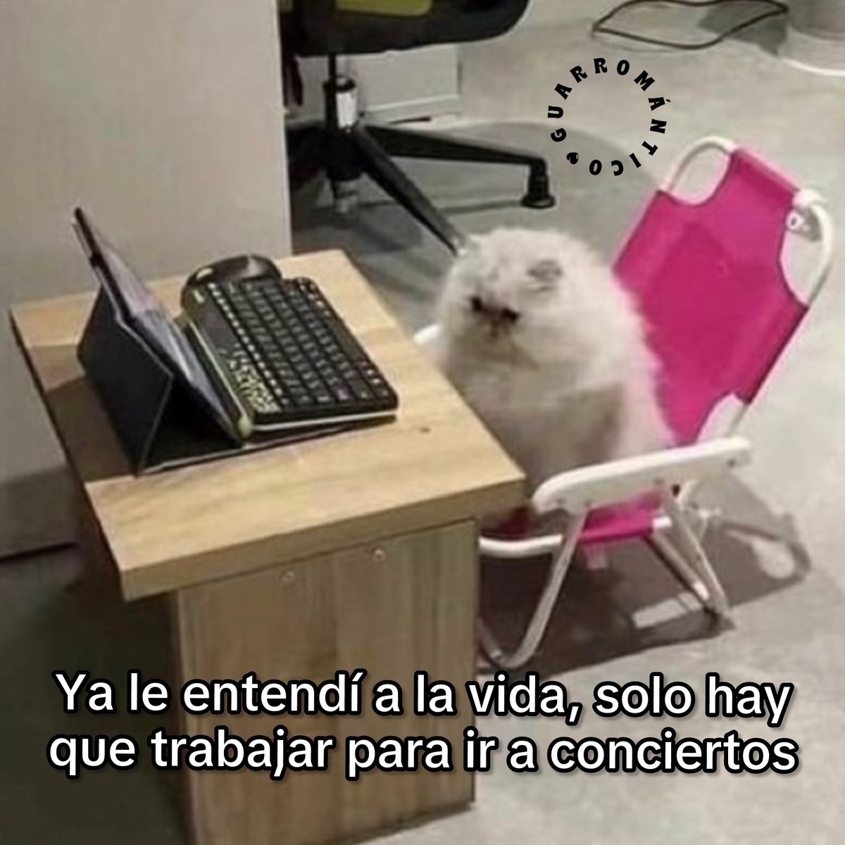 Ya le entendí.