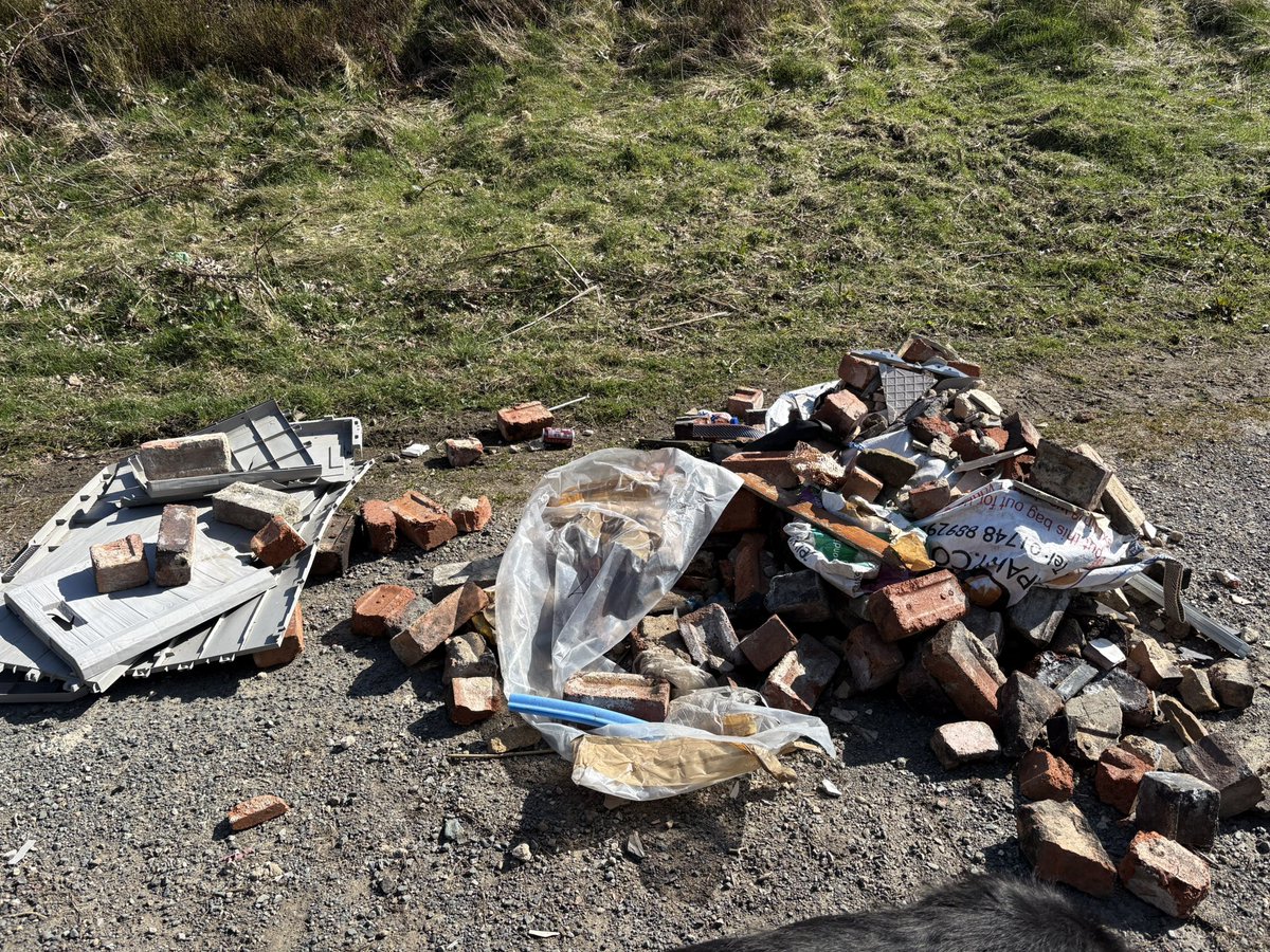 Caroline Austin-Kennett tweet media