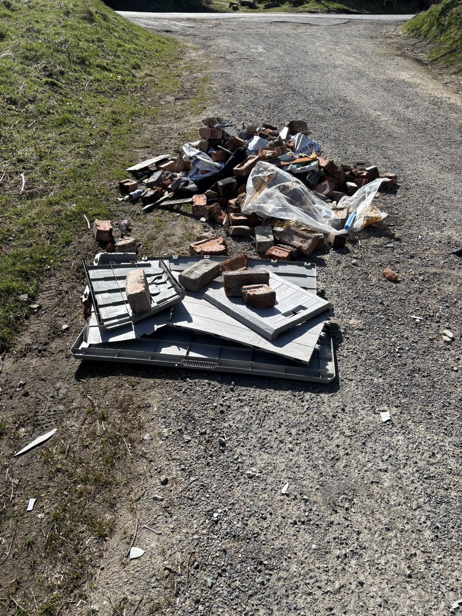 Caroline Austin-Kennett tweet media