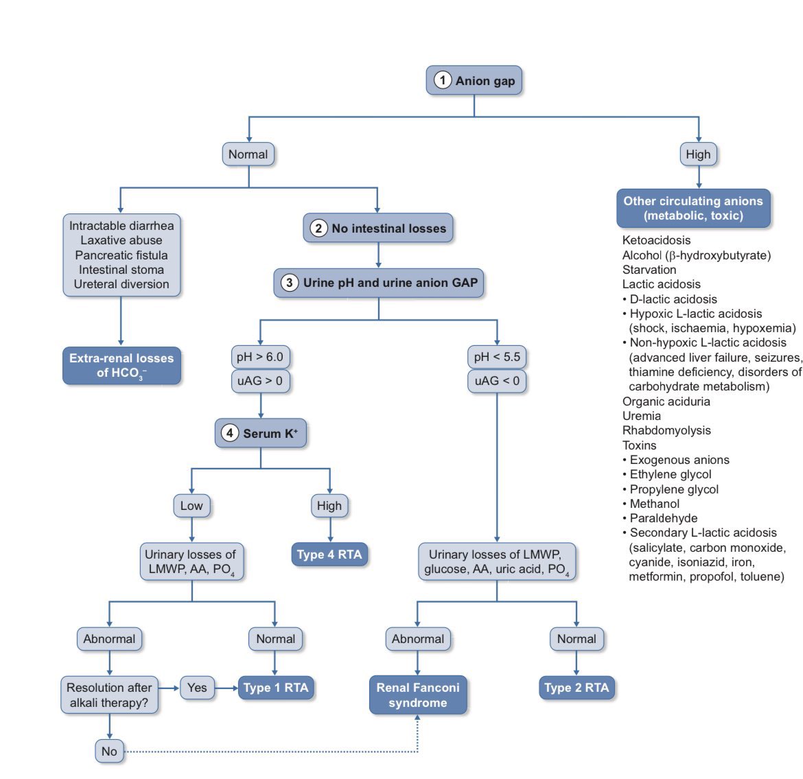 ✨🫘Approach to Renal tubular acidosis

academic.oup.com/ndt/article/36…

<a href="/NDTsocial/">NDT</a> <a href="/hjanders_hans/">Hans-Joachim Anders</a>