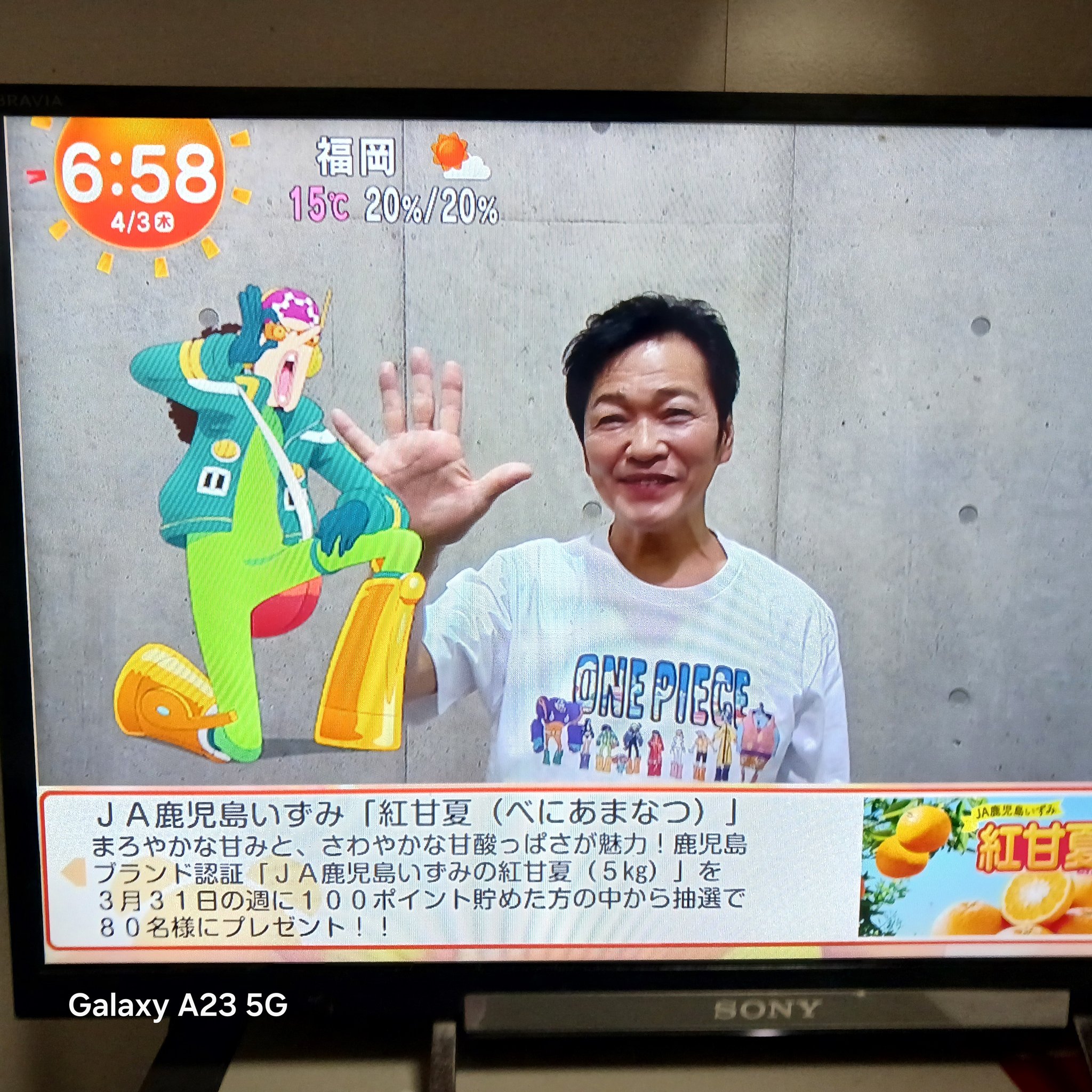 Z8X/TOP｜テレビ｜REGZA：東芝