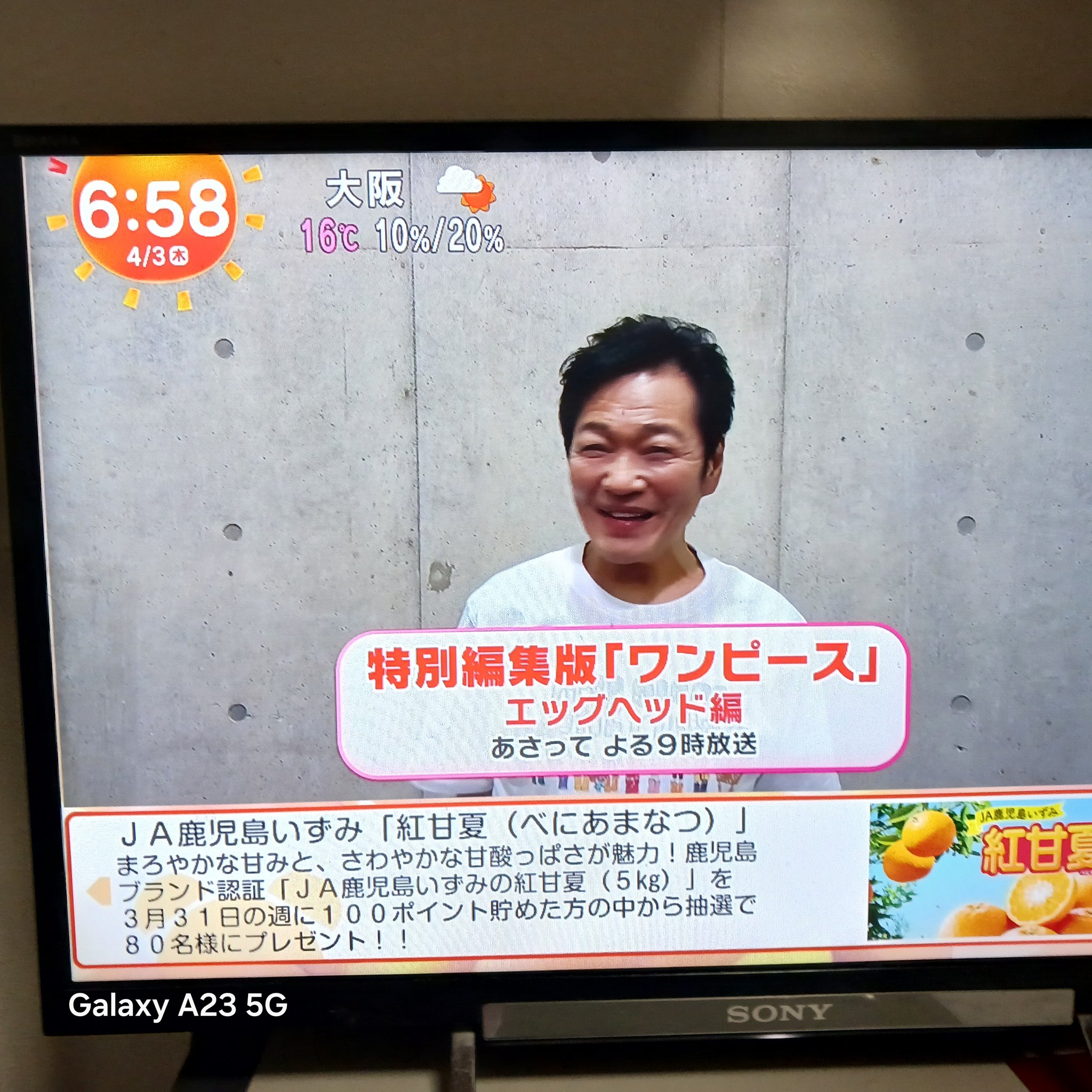 やっち on X: 