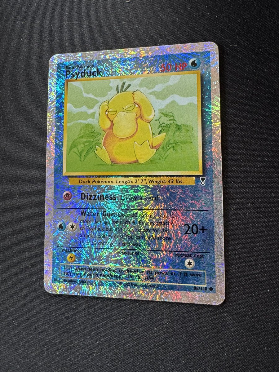 TylerMCollects's tweet photo. More birds for the Birder’s Bird Guide To Pokémon TCG.
#PokemonTCG #birds #psyduck #legendarycollection https://t.co/upT5LIDMtt