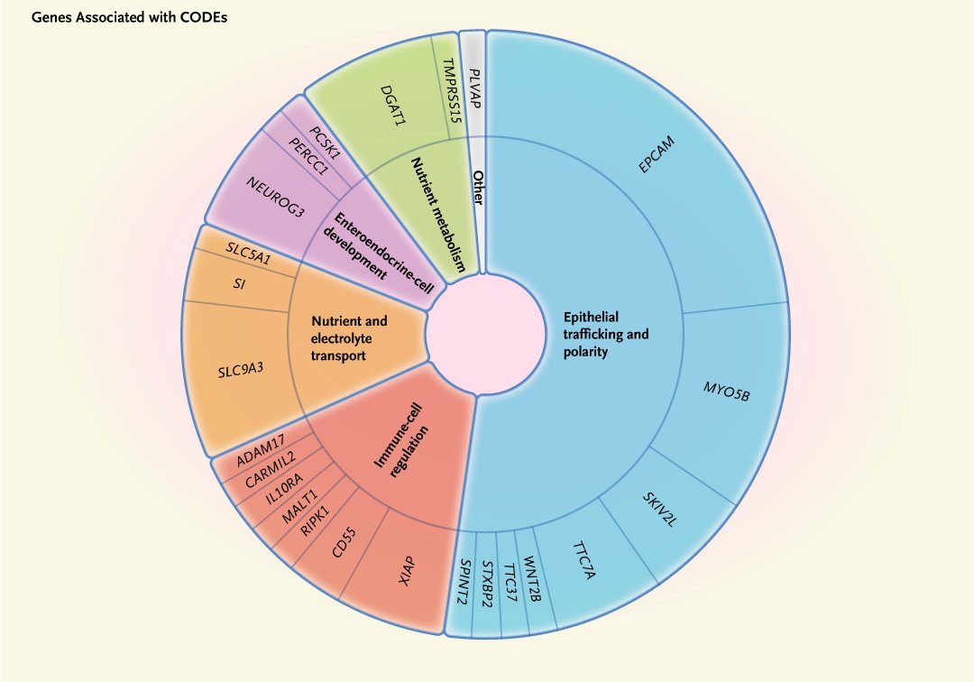 Exome and genome sequence analysis, together with follow-up functional analyses, yielded a genetic diagnosis in 62 of 129 infants (48%) with congenital diarrhea and enteropathy. Full study results: nej.md/3E1p2Md 

#Gastroenterology