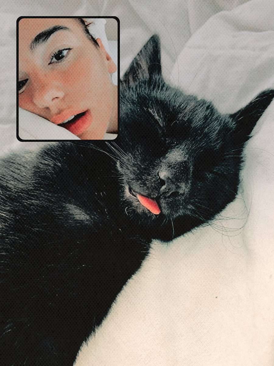 ᅠᅠ ࣪˖ 𖤐*ᅠ♱ᅠ𝕯𝐝ᅠ଼ᅠ⁎ tweet media