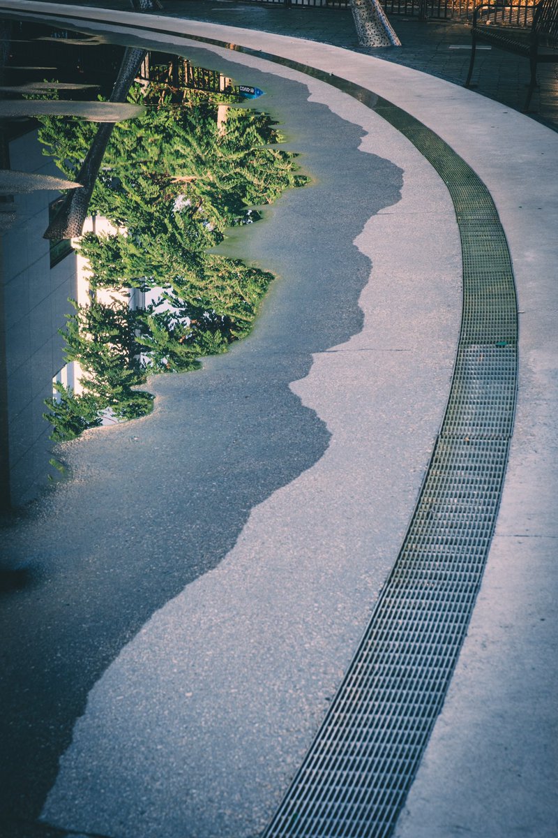 Everett_Atlas's tweet image. Reflections blur the line—nature in glass, concrete in water, Guelph dreaming its own quiet escape. #Guelph #UrbanReflections #CityIllusions #GuelphOntario #NatureVsConcrete #fujifilm #XT5 #toronto #streetphotography